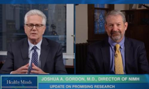 National Institute of Mental Health An Update On Promising