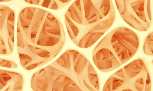 Abstract shape of bone structure