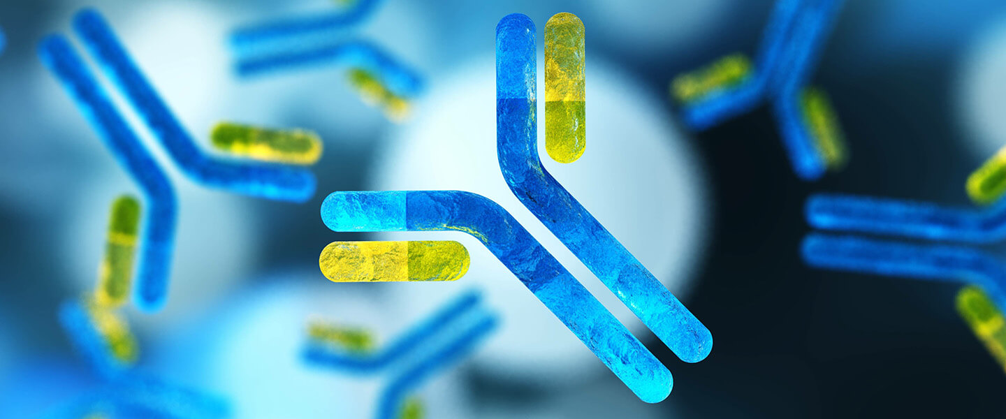 How Immune Activation May Alter the Brain and Cause Depression-Related Behavior During Chronic Social Stress
