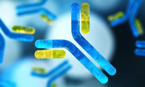 How Immune Activation May Alter the Brain and Cause Depression-Related Behavior During Chronic Social Stress