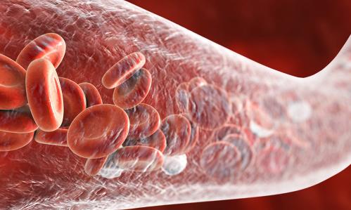 A Close Look at How COVID-19 Infection Can Damage the Brain