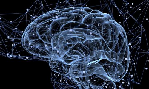 The Biology of Emotions