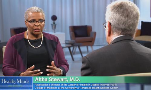 Youth and the Criminal Justice System