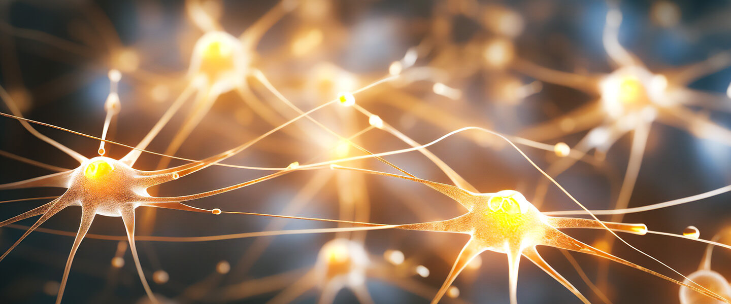 Discovery of a New Synaptic Mechanism Through Which Memories Are Maintained and Lost
