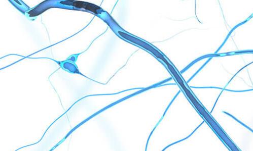 Neuroplasticity - brain's plasticity