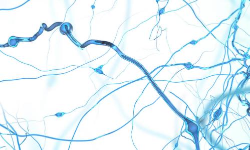 New Approach to Lessen Negative Symptoms in Schizophrenia is Based on Brain Circuit Discovery