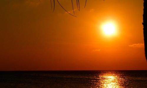 Foundation Independent Investigator Led Team Proving Zika Virus Causes Microcephaly, Other Birth Defects