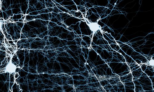 Study Links Schizophrenia Medicines’ Anticholinergic Impact to Risk of Cognitive Impairment