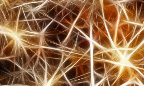 How Fear Memories are Strengthened in the Brain