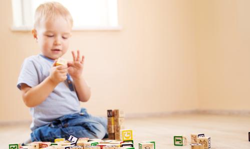 Researchers Uncover Neural Circuit that Underlies Interest in Novelty