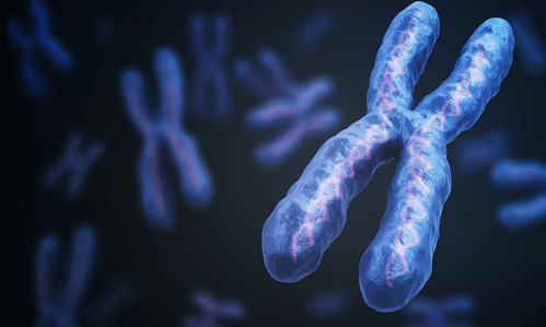 Team Reports on Search for Genetic Subgroups Within Depression