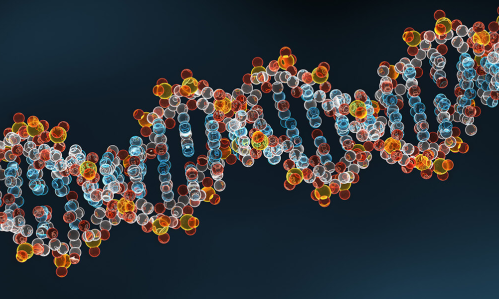 Genome Comparisons Reveal DNA Risk Variants Differ in People of East Asian vs. European Ancestry